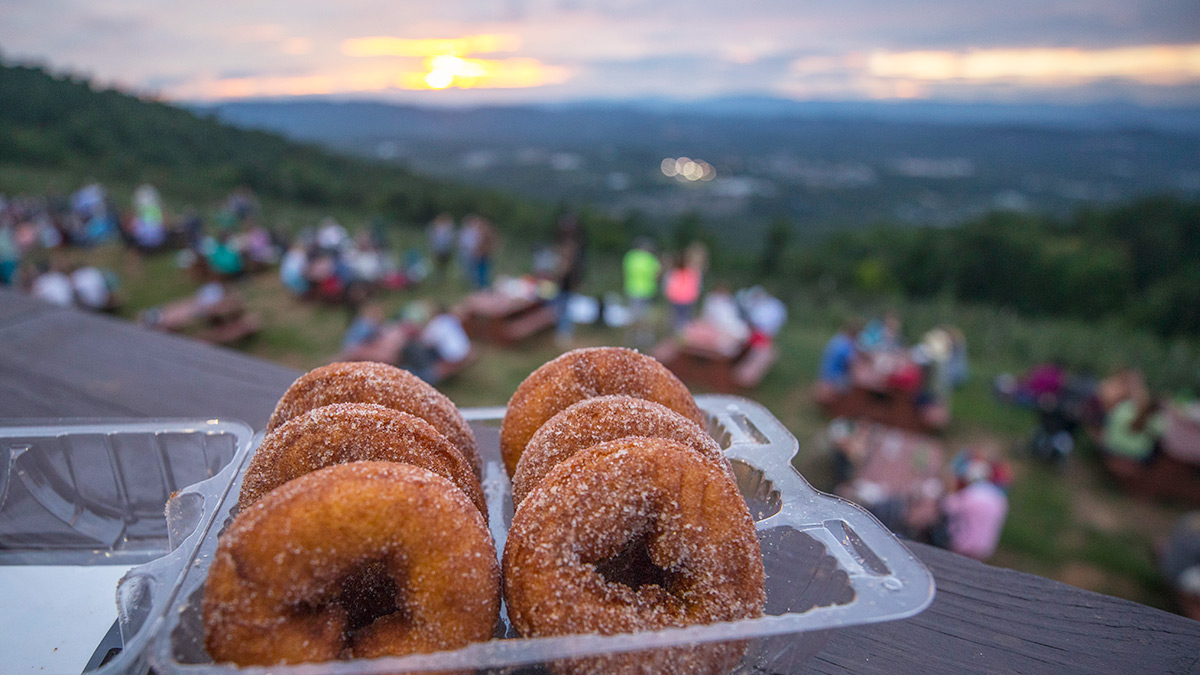 Carter Mountain Doughnuts Charlottesville Virginia